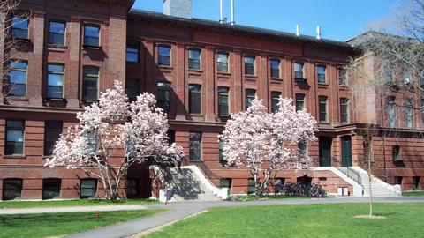 jefferson building in the spring