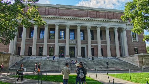 widener library
