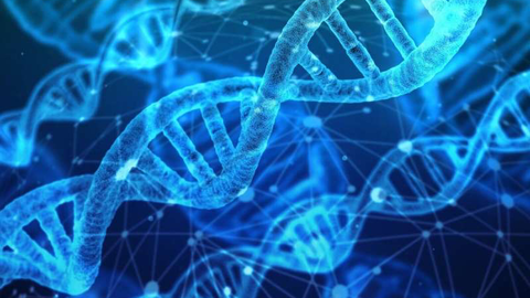 drawing of DNA of viruses