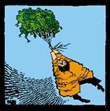 cartoon of flying frogs
